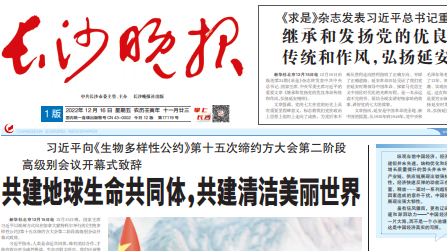 长沙晚报 | 湘江智谷片区交通路网再升级 5条蹊径完成建设，助推一流品质新区打造